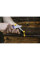 Комплект механічних точилок Work Sharp POCKET KNIFE SHARPENER 12 PACK & 1 DISPLAYS WSGPS-12