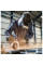 Кутова шліфмашина Metabo WEV 15-125 Quick (1.55 кВт, 125 мм) (600468000)
